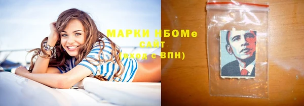 прущие грибы Осташков