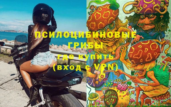 сатива Осинники