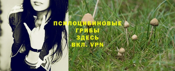 прущие крисы Балахна