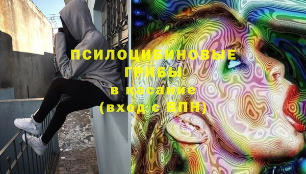 прущие крисы Балахна